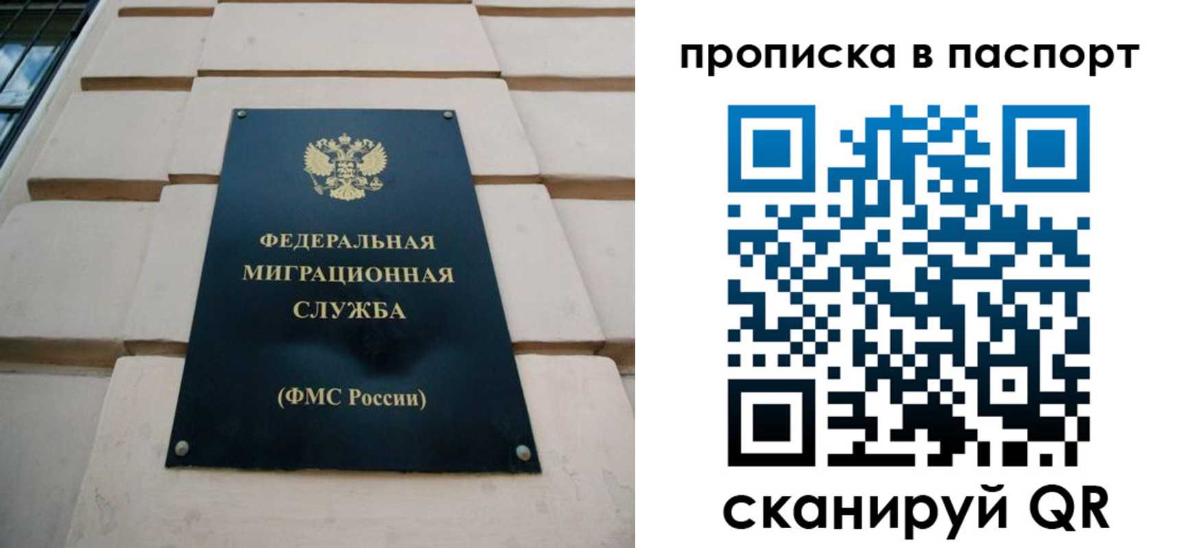 найти адрес прописки в Снежногорске